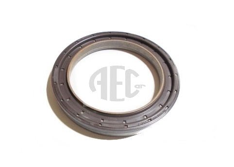 Rear Crankshaft Oil Seal