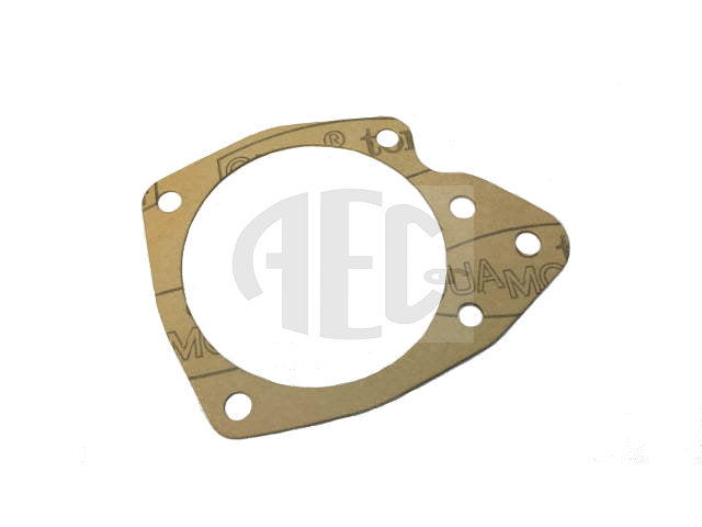 Water Pump Gasket | Fiat Twin Cam